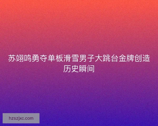 苏翊鸣勇夺单板滑雪男子大跳台金牌创造历史瞬间