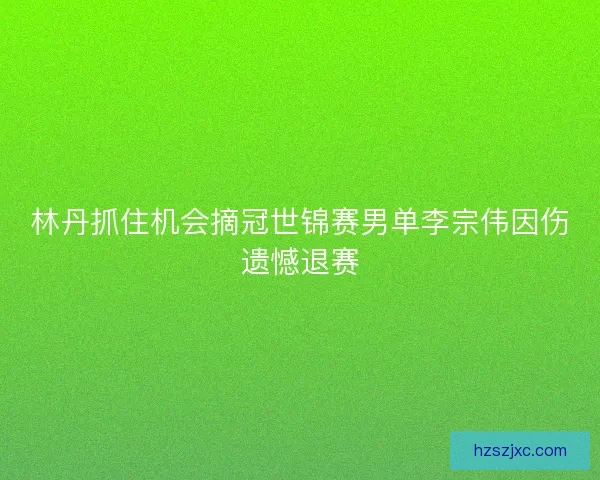 林丹抓住机会摘冠世锦赛男单李宗伟因伤遗憾退赛