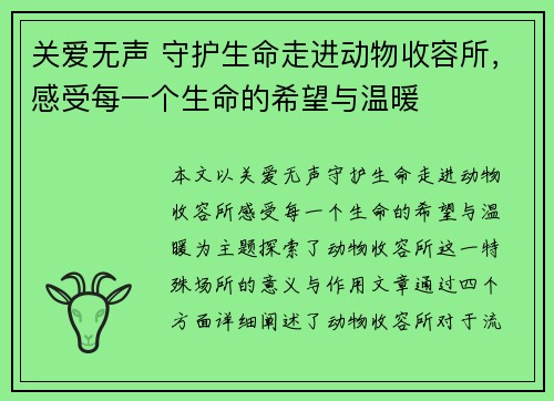 关爱无声 守护生命走进动物收容所，感受每一个生命的希望与温暖